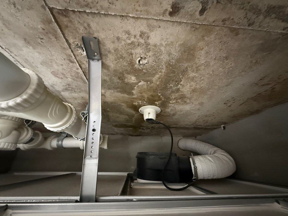 아랫집 화장실 천장 안쪽. 콘크리트가 젖어 있었습니다